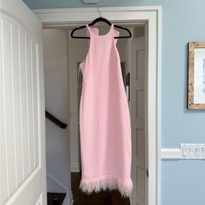 Likely size 2 pink dress with feathers!